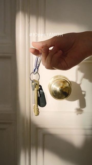 Агентство недвижимости А. М. О. Н.