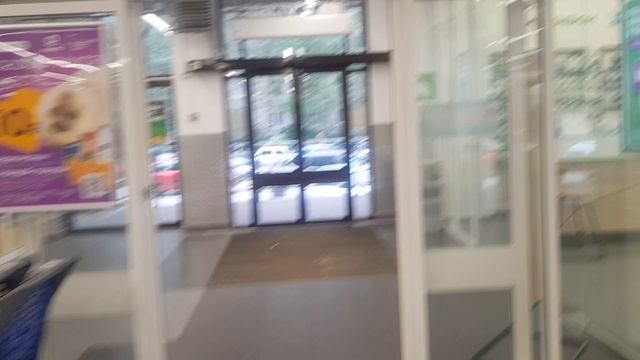 луга урицкого 2