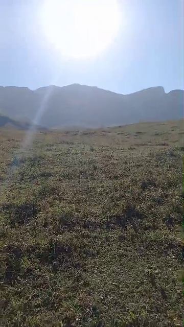 WhatsApp Video 2025-08-14 At 12.07.39