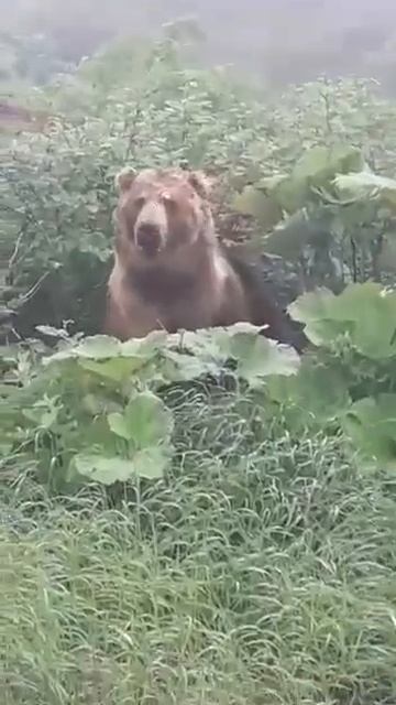 VID_20250815_132400_701