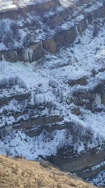 WhatsApp Video 2025-08-14 At 19.49.12