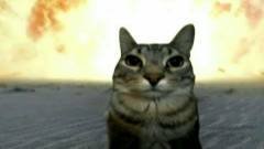 играем и посмотрим другу видосик