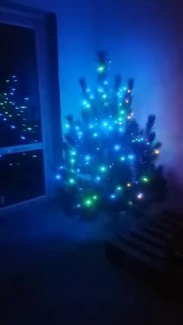 С новым годом))