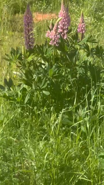 ЖК Рождественский квартал