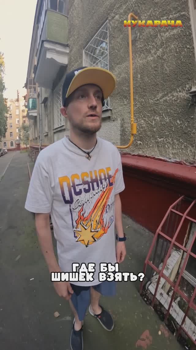 Битюки по жизни