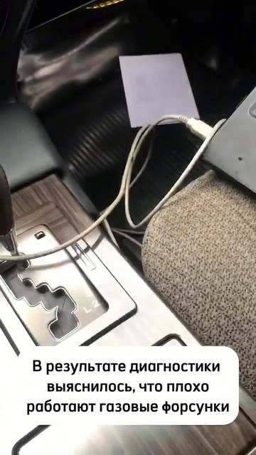 И редкие экземпляры к нам залетают)))