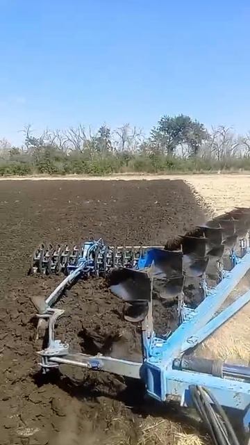 VID-20250816-WA0003.mp4