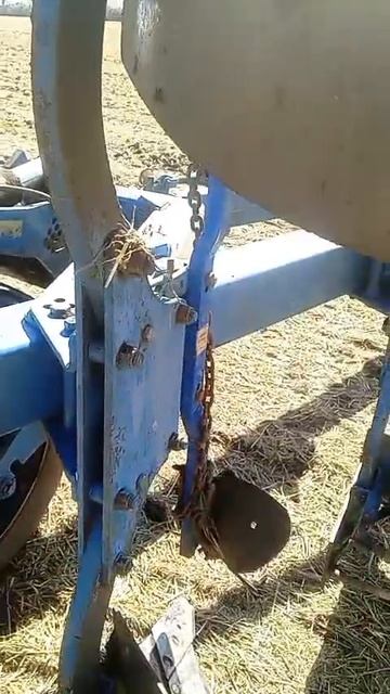 VID-20250816-WA0004.mp4