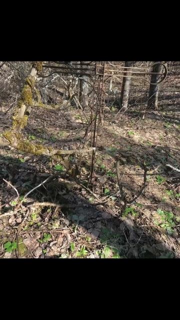 Первый раз в 2025 полноценно выехал из гаража на мотоцикле #мотосезон2025 #мотоцикл