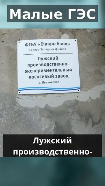 Одна из двух действующих по сей день малых ГЭС Ленинградской области #мотоцикл #мотосезон2025