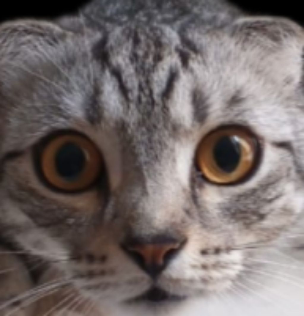 привет подпишись пожалуйста