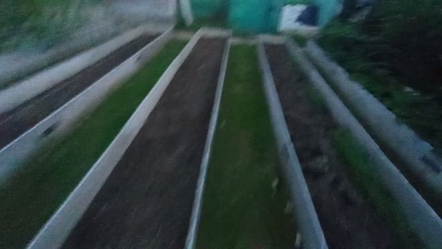 Потерянный истребитель