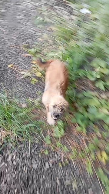 1000020080.mp4беспризорная Кубань