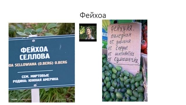Я угораю с этих названий 🤣