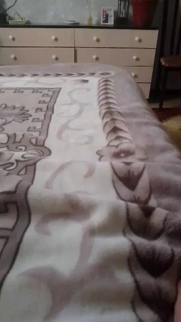 D137354a29ddda5e455d0577c50ef4ef