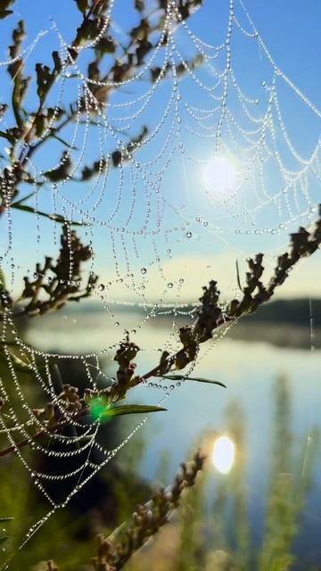 Об лете