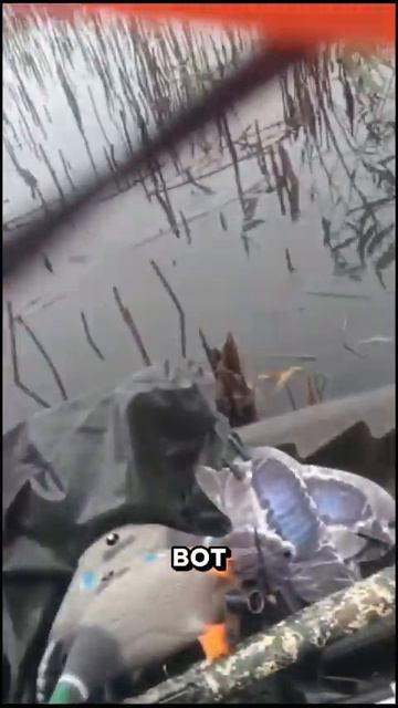 Чучела Lucky Duck отзыв охотника #luckyduck #hunting #duckhunting