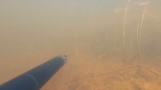 Подводная охота в ЯНАО на озере Кирилл-Выслор