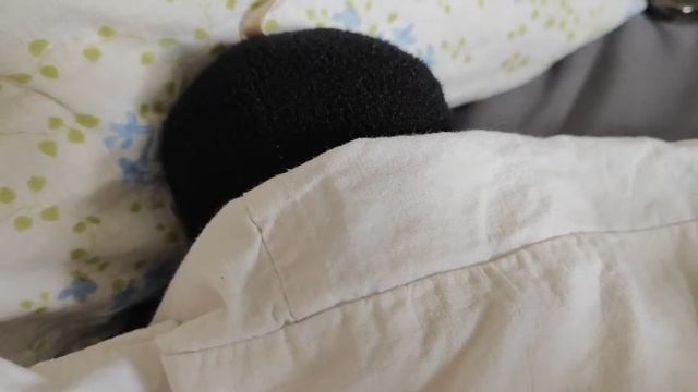 Penguin №24 Not Sleep