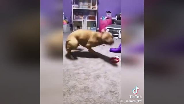 09a2d007df691237aef3e0ad4d2aa30c