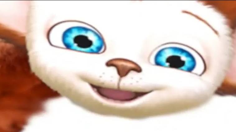 что такое шиза