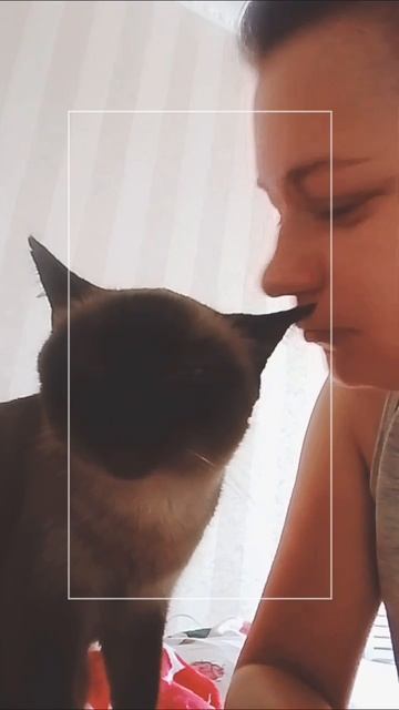 3187cb5c26d9e193090bd4f8d0281ba8