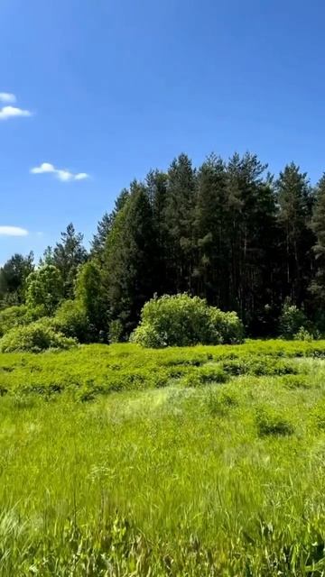 Моя малая Родина