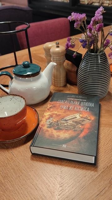 гаррисон чтение.mp4