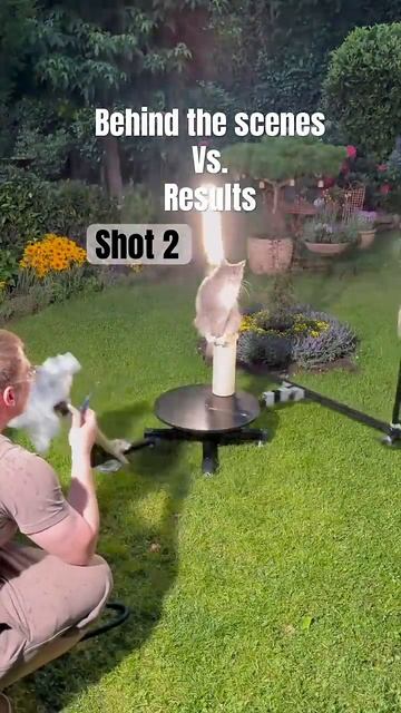 Немного кошачьих съемок 🎥🌪️🐱