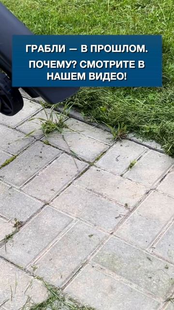 Грабли в прошлом! 🌿
