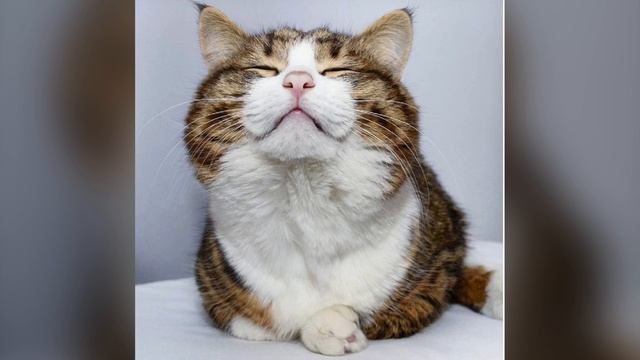 8b20a65324d4be2f41f598c73a05abad