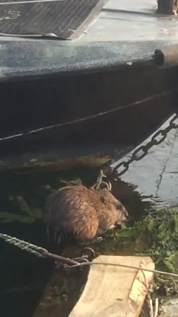 6956802349574649a6626893a26866c0