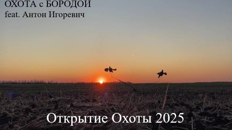 ОХОТА с БОРОДОЙ Feat. Антон Игоревич. Открытие охоты на Кубани 2025. Понеслась!
