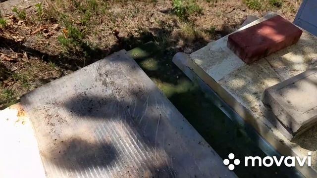 КОНЕЦ СЕЗОНА 2025🐝 #ПЧЕЛЫ #пасека #пчеловодство