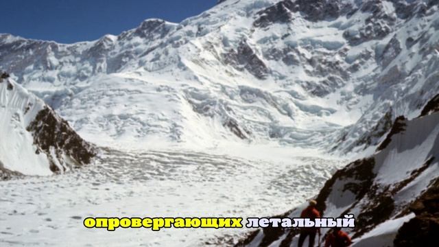 Первый Новостной