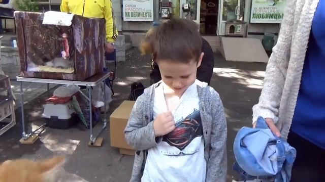 4d2690e60bc00e6f86e6bb9bcc330109