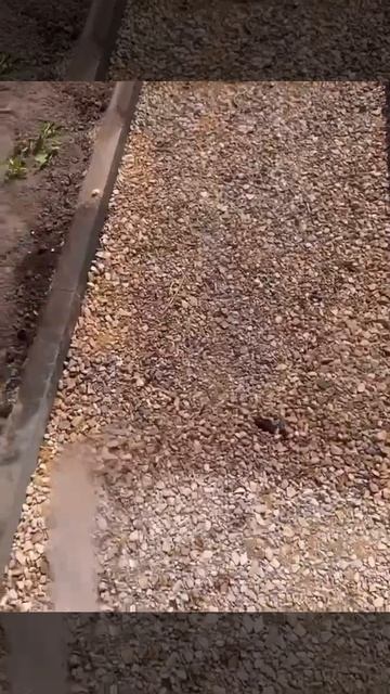 Дорожка из плитки. Самое интересное в телеграмм Https://t.me/turizm100