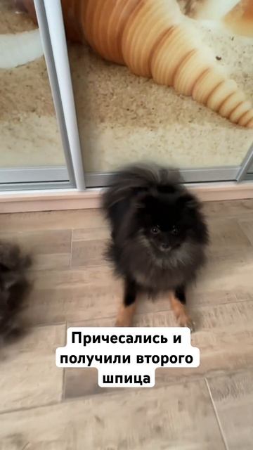 ЖИТЬ ПО-РУССКИ