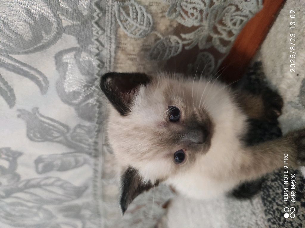 я у бабушки💖💖