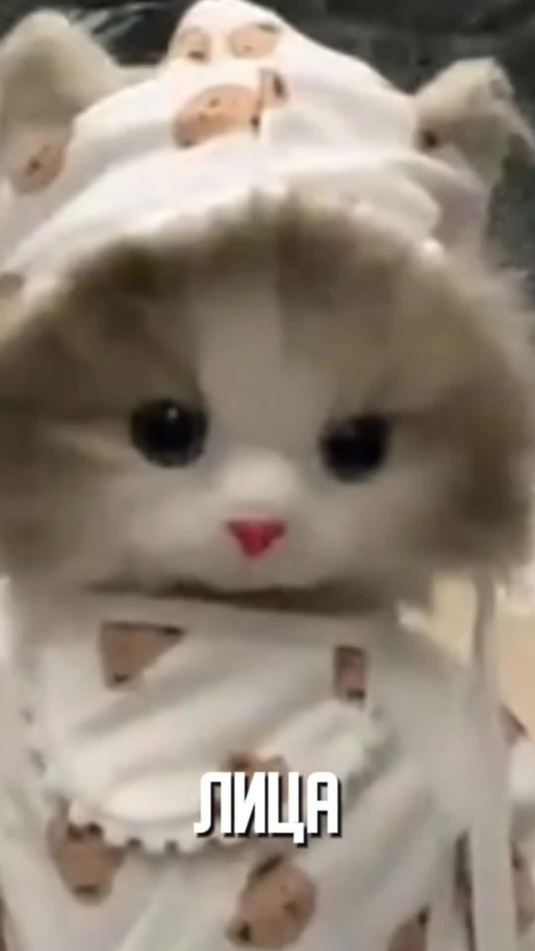 𝐃𝐀𝐍𝐈𝐄𝐋 𝐒𝐌𝐈