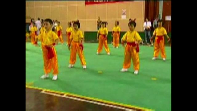 Что такое ушу