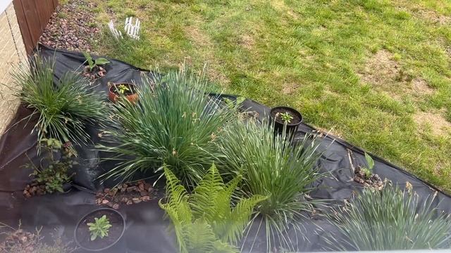 РАБОТАЮ И ЖИВУ НА ДАЧЕ С ДЕТЬМИ / СПАСЛА ДЕРЕВО / СВОБОДА И СЧАСТЬЕ / ДАЧНЫЙ ВЛОГ / ЖИТЬ ПО-РУССКИ