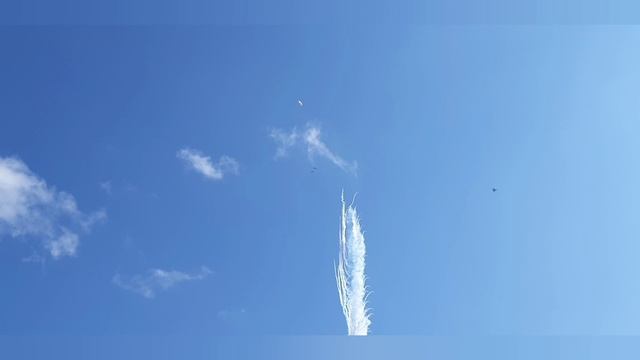 ВИВА АВИА 2025. Мочище.