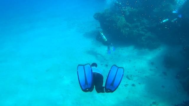 83e0340f98d363403c3aada6f764c7d1