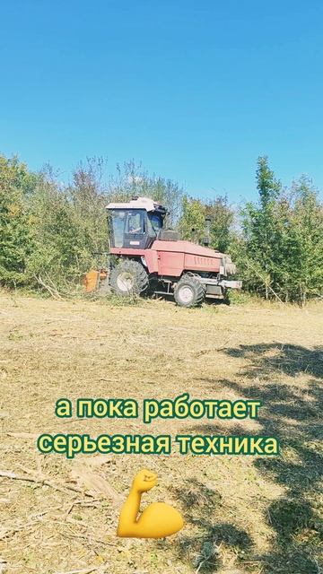 9f7a3ed639a5331303dcf8b598bfdec3