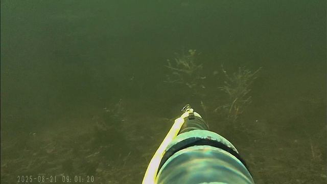 День первый