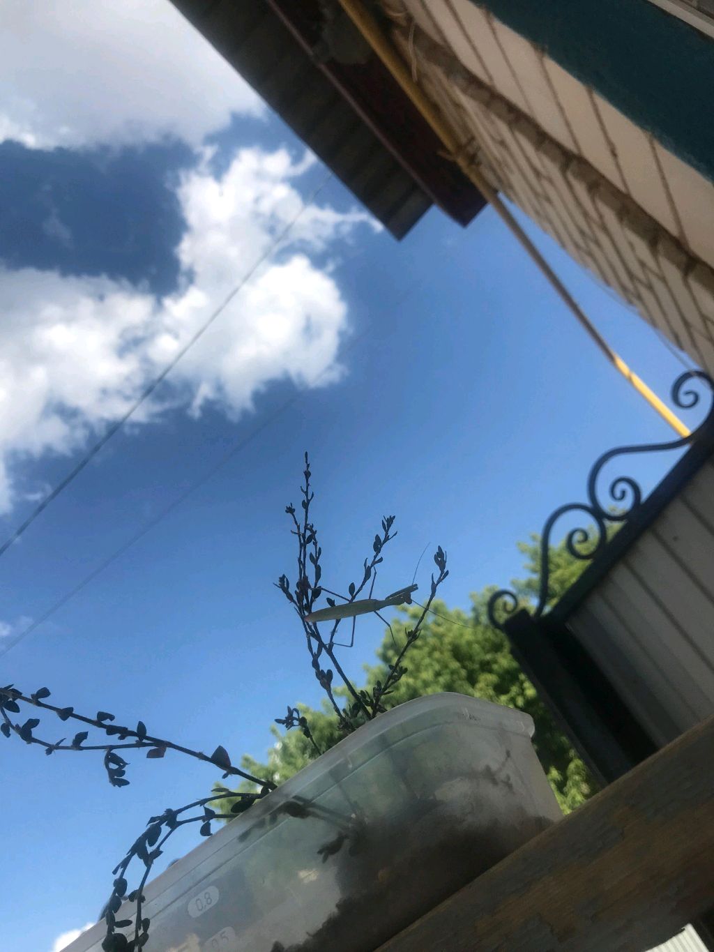 АлимTime Зима ❄️