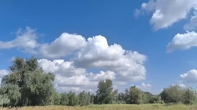 E007b0e26ae50a21bc9dcc86335d47f9