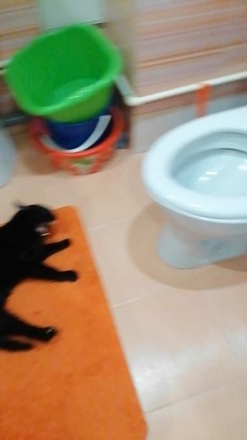 Сделайте из этого  мем