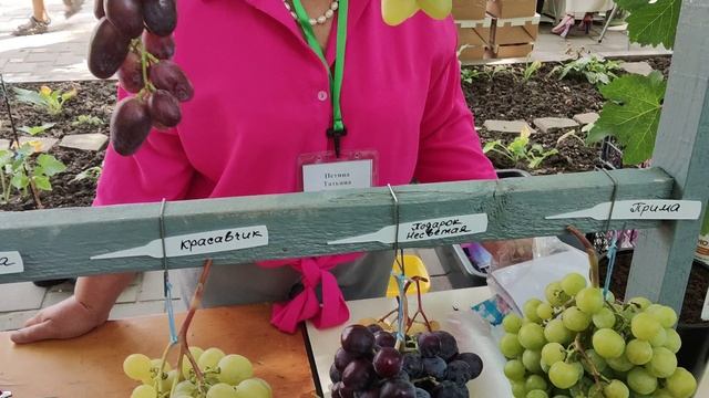 Выставка винограда 2025 год. Город Донецк